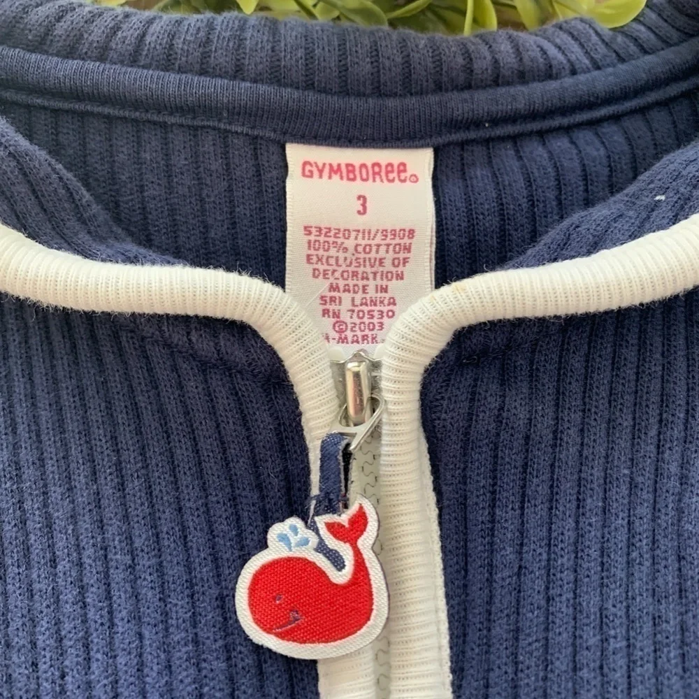 Gymboree Whale Watching Club Sweater Size 3